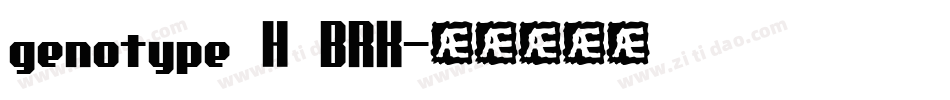 genotype H BRK字体转换
